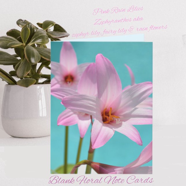 Lilies de lluvia rosa Aqua Blue Blank (Subido por el creador)