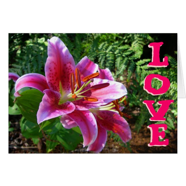 Lilies of Love (Anverso (Horizontal))