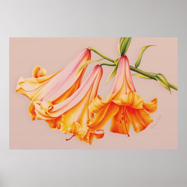 "Lilies" poster botánico de arte fino (Frente)