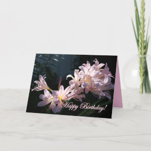 Lilies Rosados, ¡Feliz cumpleaños! Tarjeta de salu