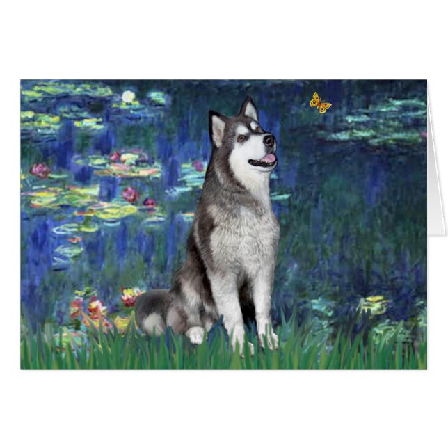 Lililes #5 - Malamute de Alaska (Anverso (Horizontal))
