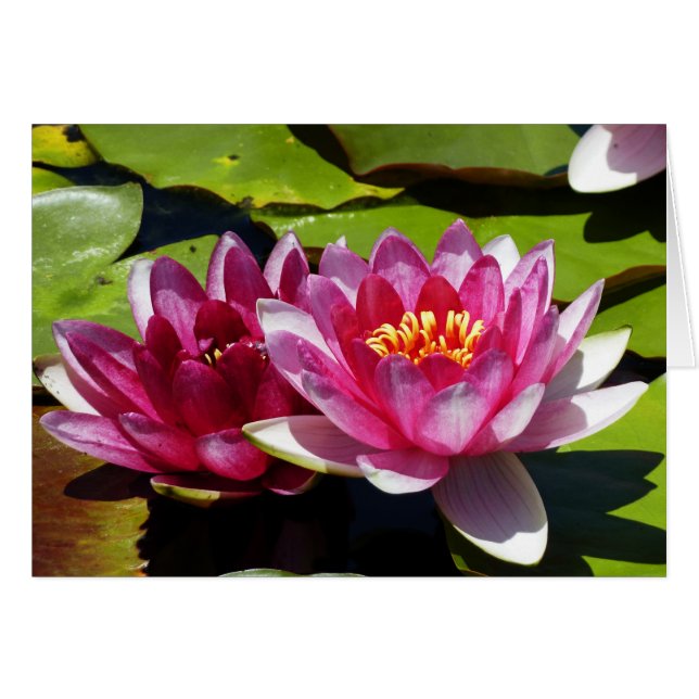 Lilis De Agua Rosa Pensando En Tu Tarjeta De Salud (Anverso (Horizontal))