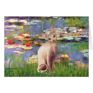 Lillies 2 - Gato Sphynx de Cream