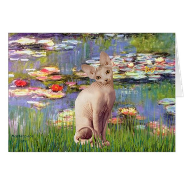Lillies 2 - Gato Sphynx de Cream (Anverso (Horizontal))