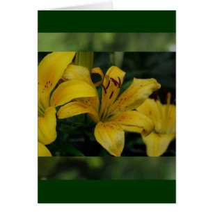 Lillies en verde
