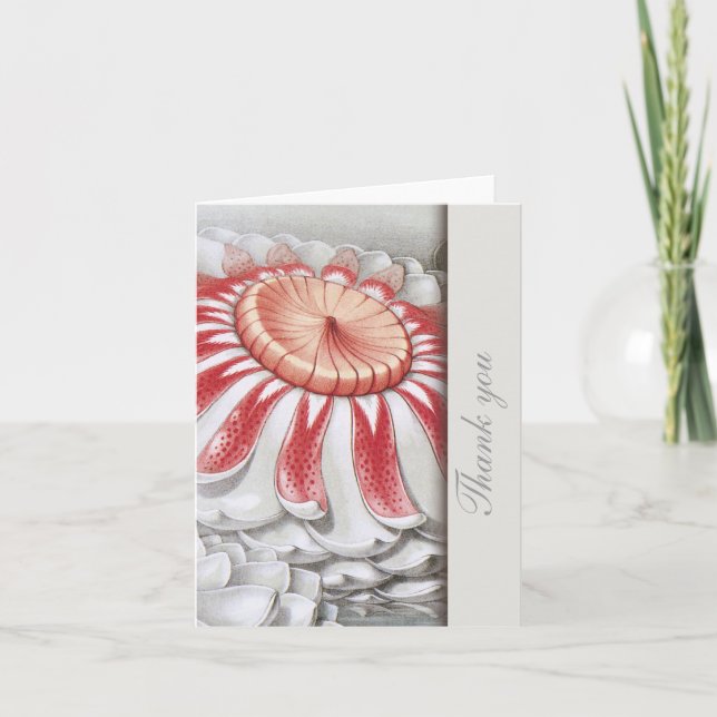Lilly Pads Floral Gracias Notas (Anverso)