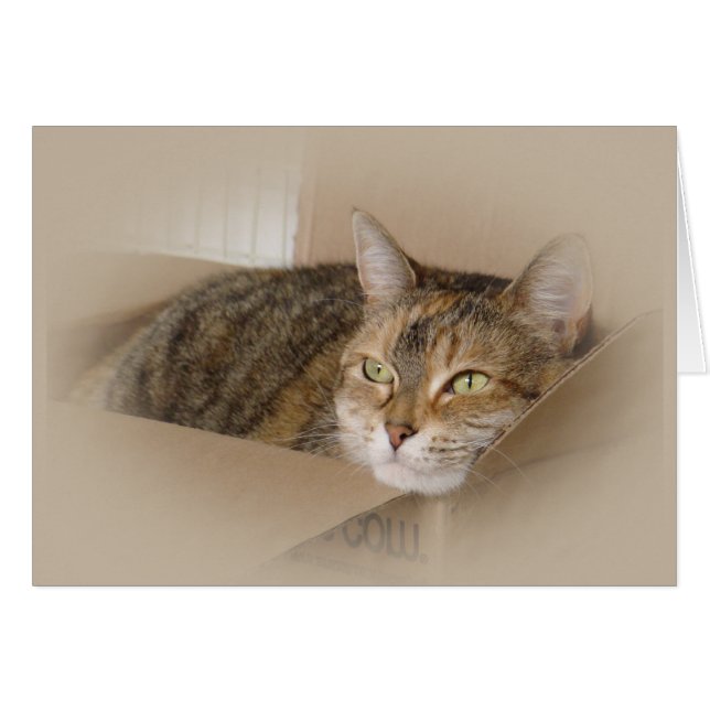 Lily #1 (Anverso (Horizontal))