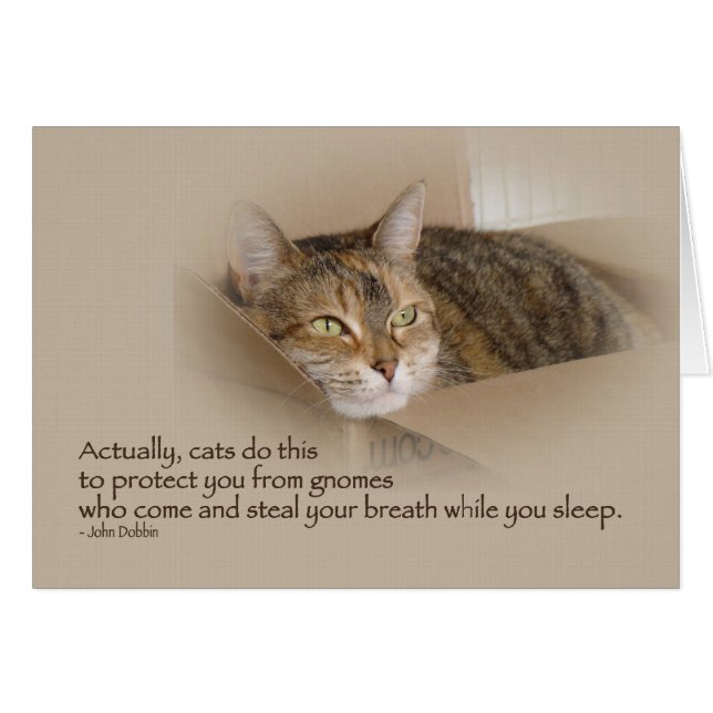 Lily #1 (Anverso (Horizontal))