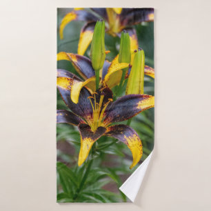 Lily asiática híbrida negra, fotografía de flores