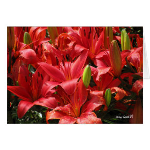 Lily Card