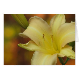 Lily de Octubre