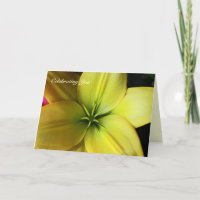 Lily del Día: Tarjeta de cumpleaños para buenos am