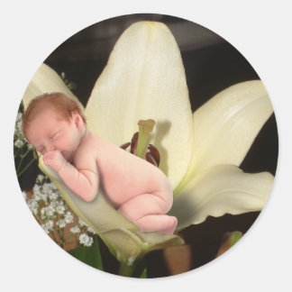 Lily Flower Baby Round Pegatina
