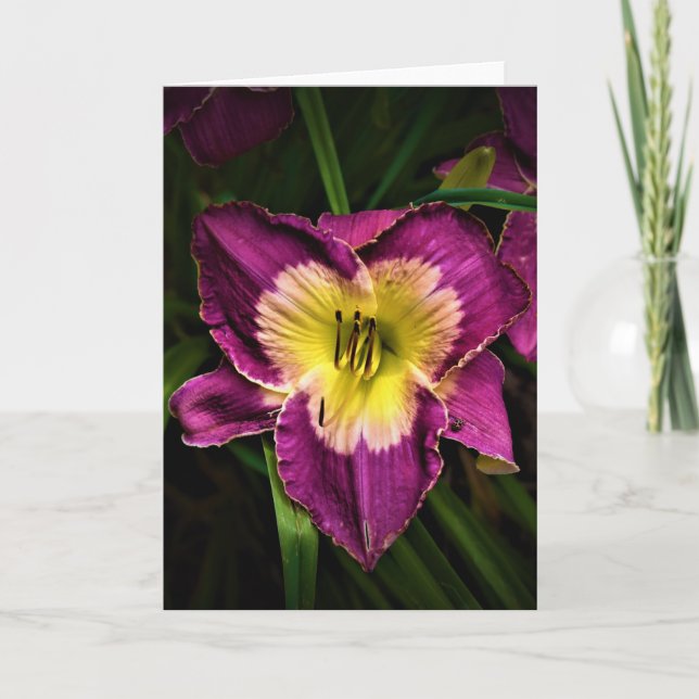 Lily & Ladybug, tarjeta (Anverso)