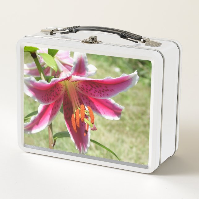 Lily Lunchbox (Anverso)