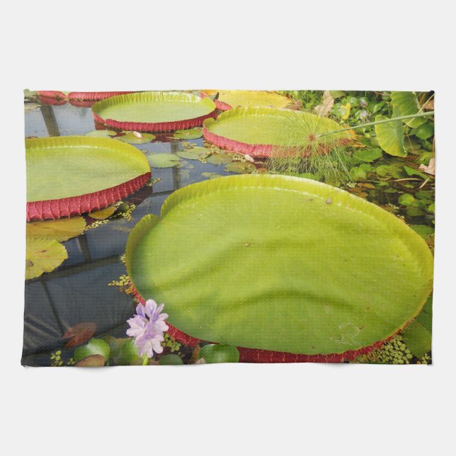 Lily Pads Toalla de Té (Horizontal)