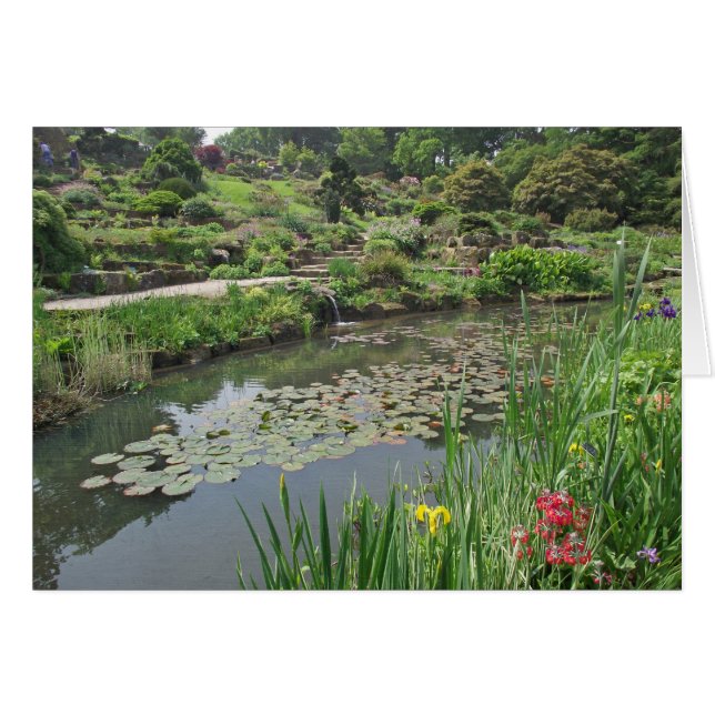 Lily Pond en RHS Wisley (Anverso (Horizontal))