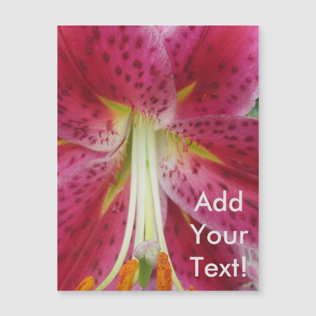 Lily Stargazer Purple Flower (Anverso)