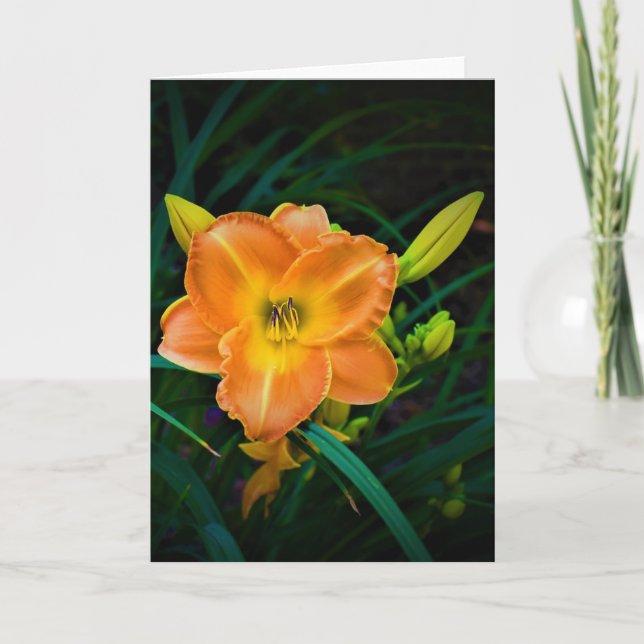 Lily, tarjeta (Anverso)
