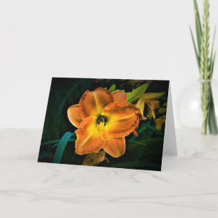 Lily, tarjeta