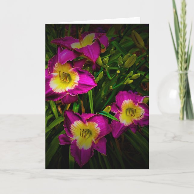 Lily, tarjeta (Anverso)