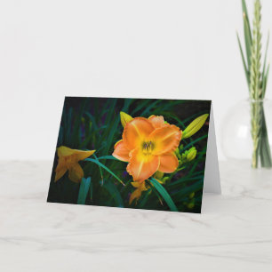 Lily, tarjeta