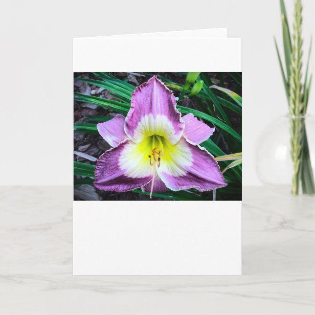 Lily, tarjeta (Anverso)