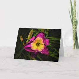 Lily, tarjeta