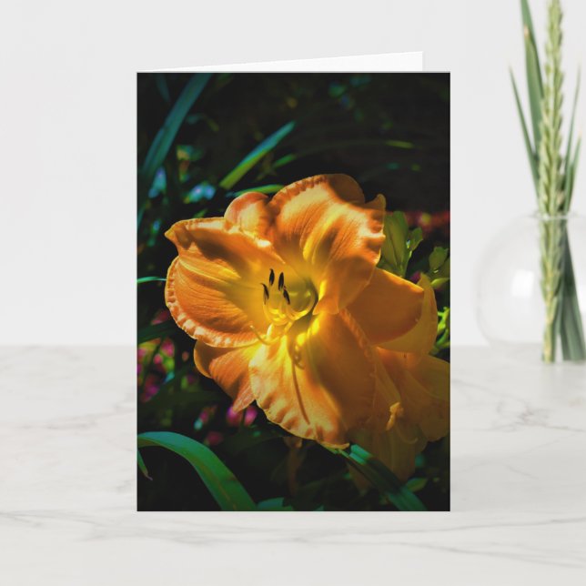 Lily, tarjeta (Anverso)