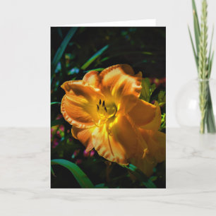 Lily, tarjeta