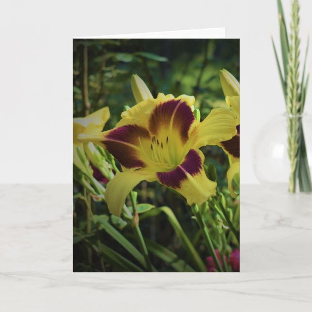 Lily, tarjeta (Anverso)
