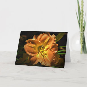 Lily, tarjeta