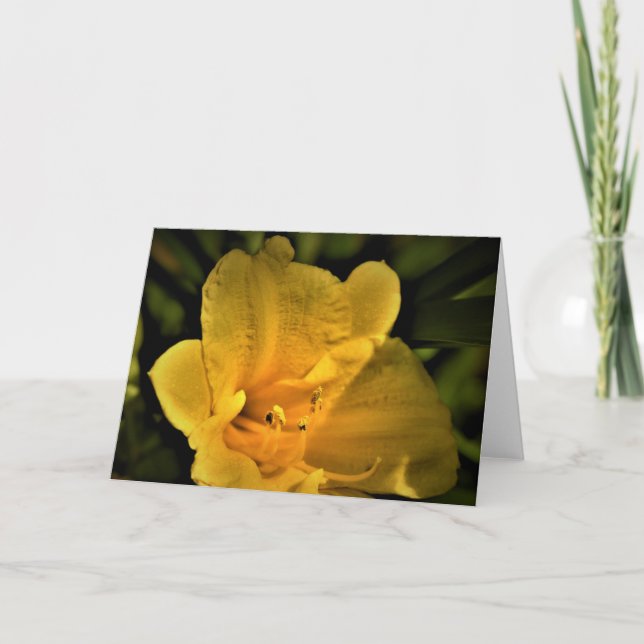 Lily, tarjeta (Anverso)