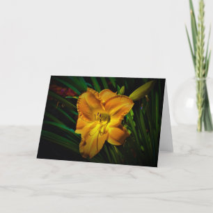Lily, tarjeta