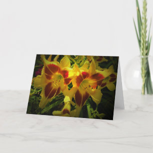 Lily, tarjeta