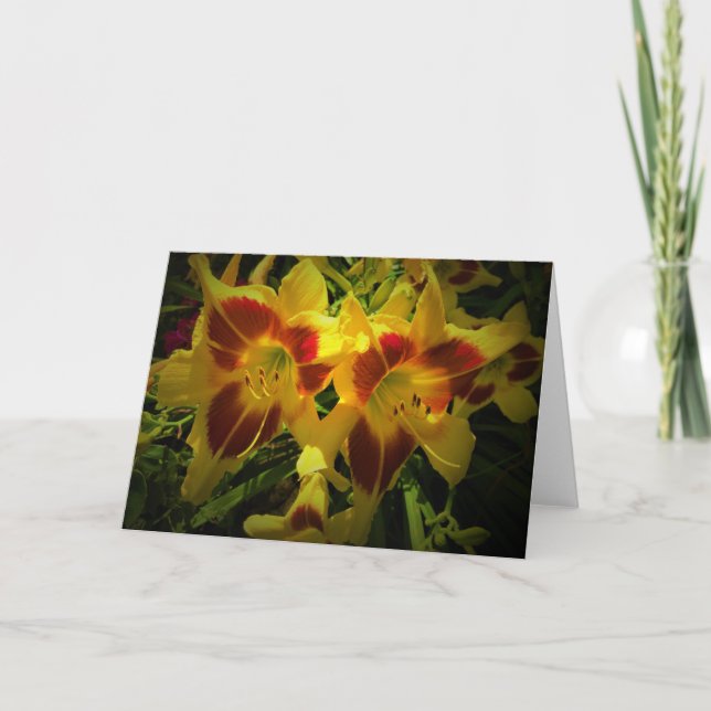 Lily, tarjeta (Anverso)