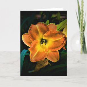 Lily, tarjeta