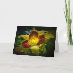 Lily, tarjeta