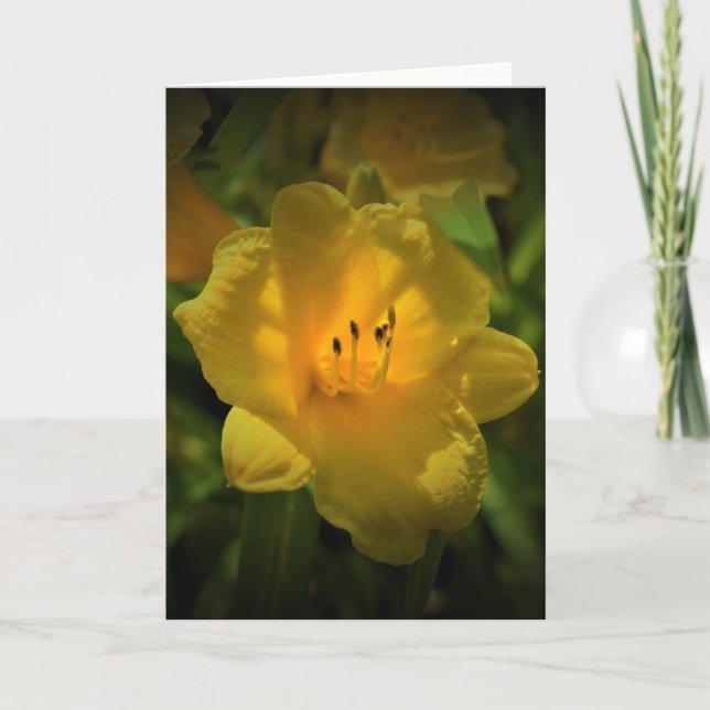 Lily, tarjeta (Anverso)