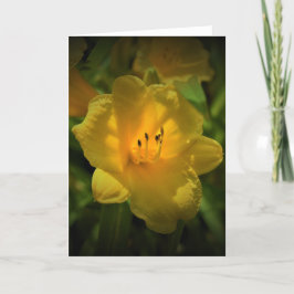 Lily, tarjeta