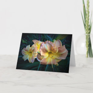 Lily, tarjeta