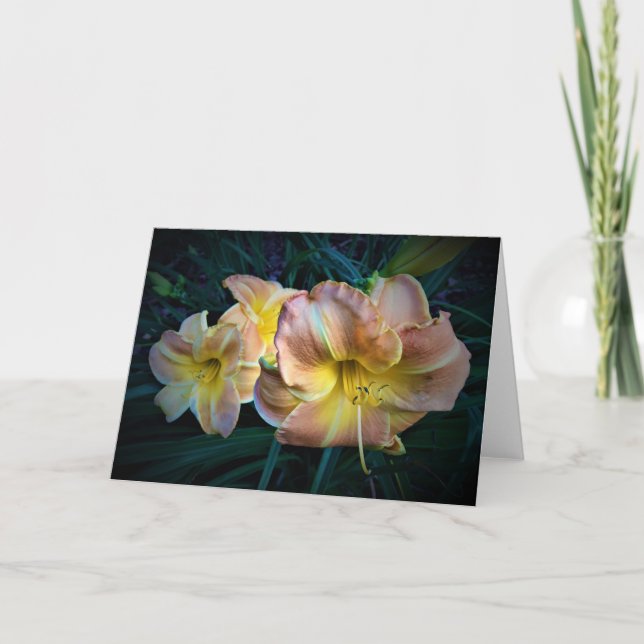 Lily, tarjeta (Anverso)