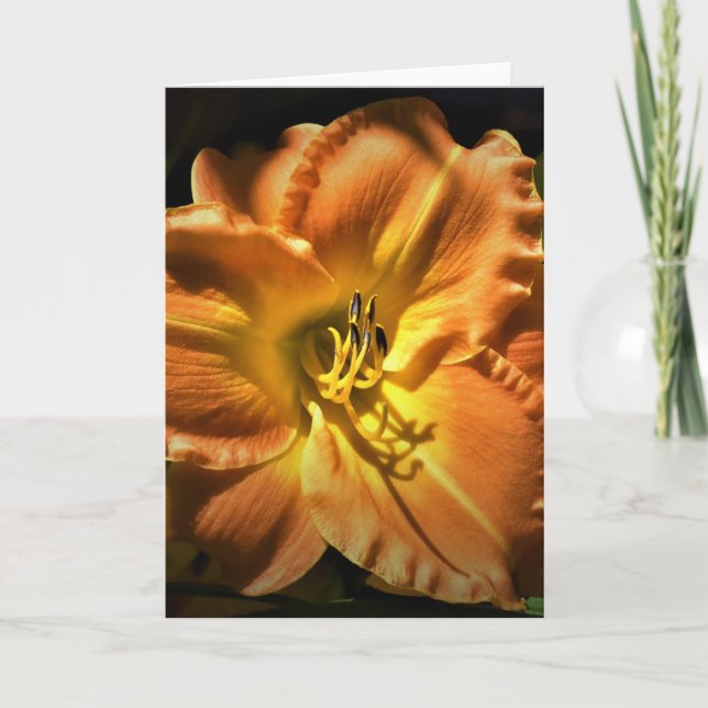 Lily, tarjeta (Anverso)