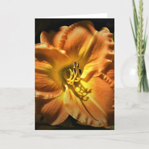 Lily, tarjeta