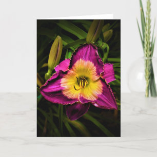Lily, tarjeta