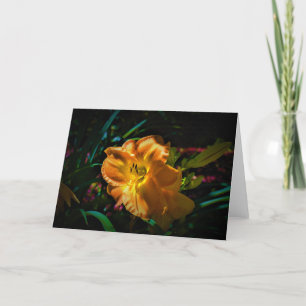 Lily, tarjeta
