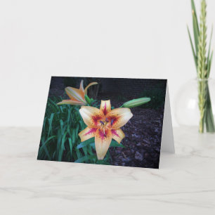Lily, tarjeta