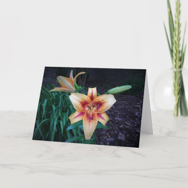 Lily, tarjeta (Anverso)