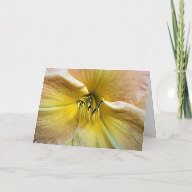 Lily, tarjeta (Anverso)