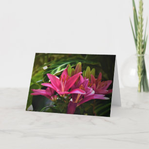 Lily, tarjeta